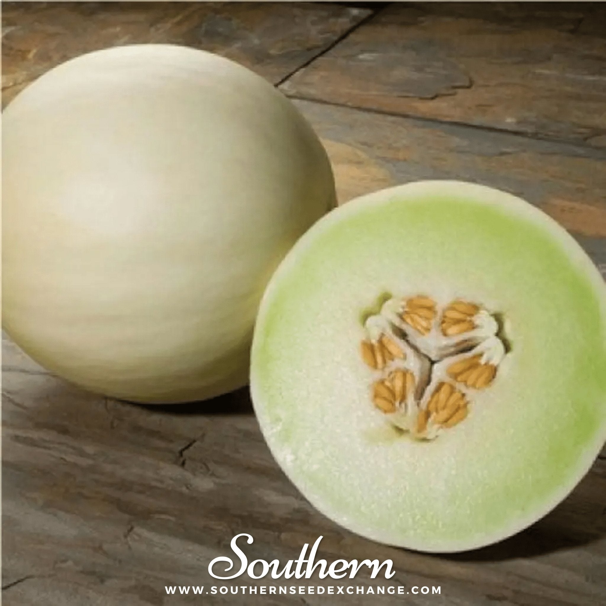 Green Flesh Honeydew Melon – 20 Seeds Southern Seeds