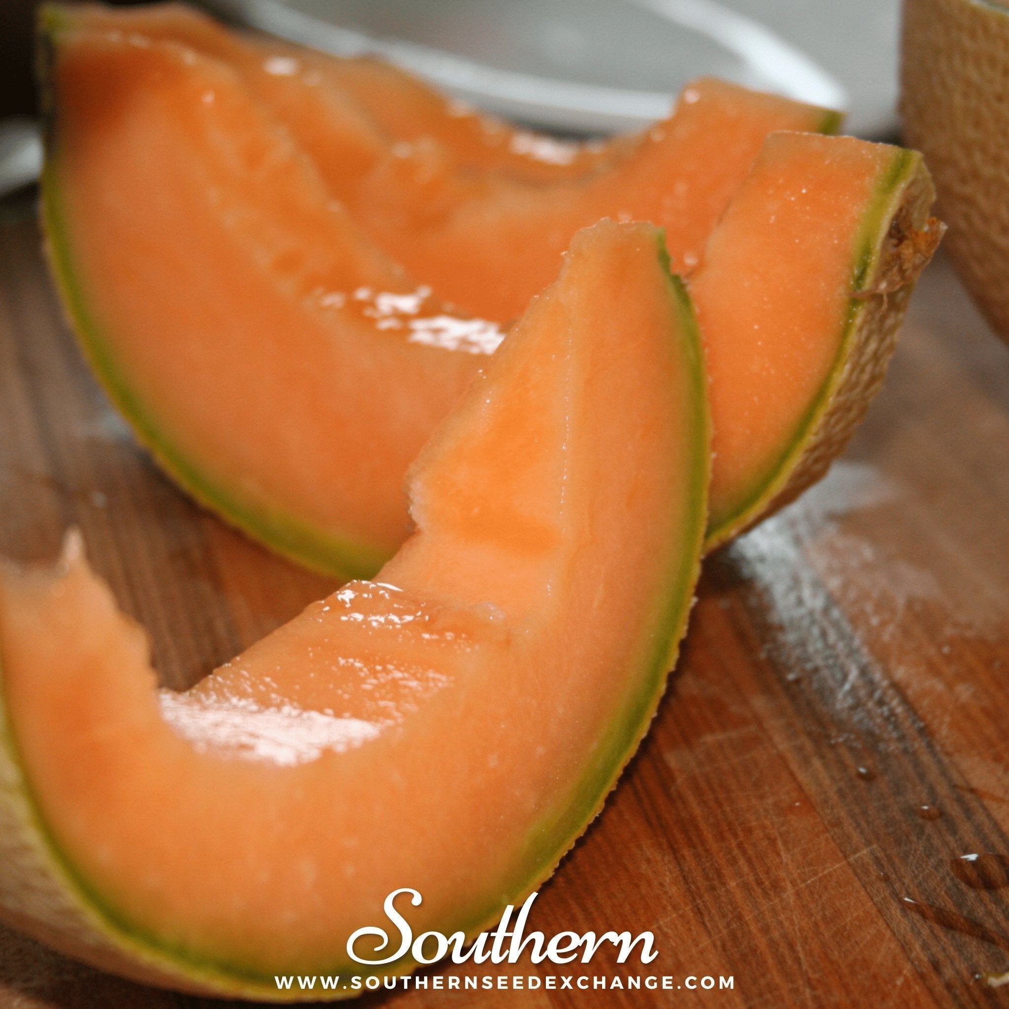 Hales Best Jumbo Cantaloupe – 50 Seeds Southern Seeds