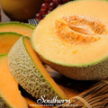 Planter’s Jumbo Melon – 50 Seeds Southern Seeds