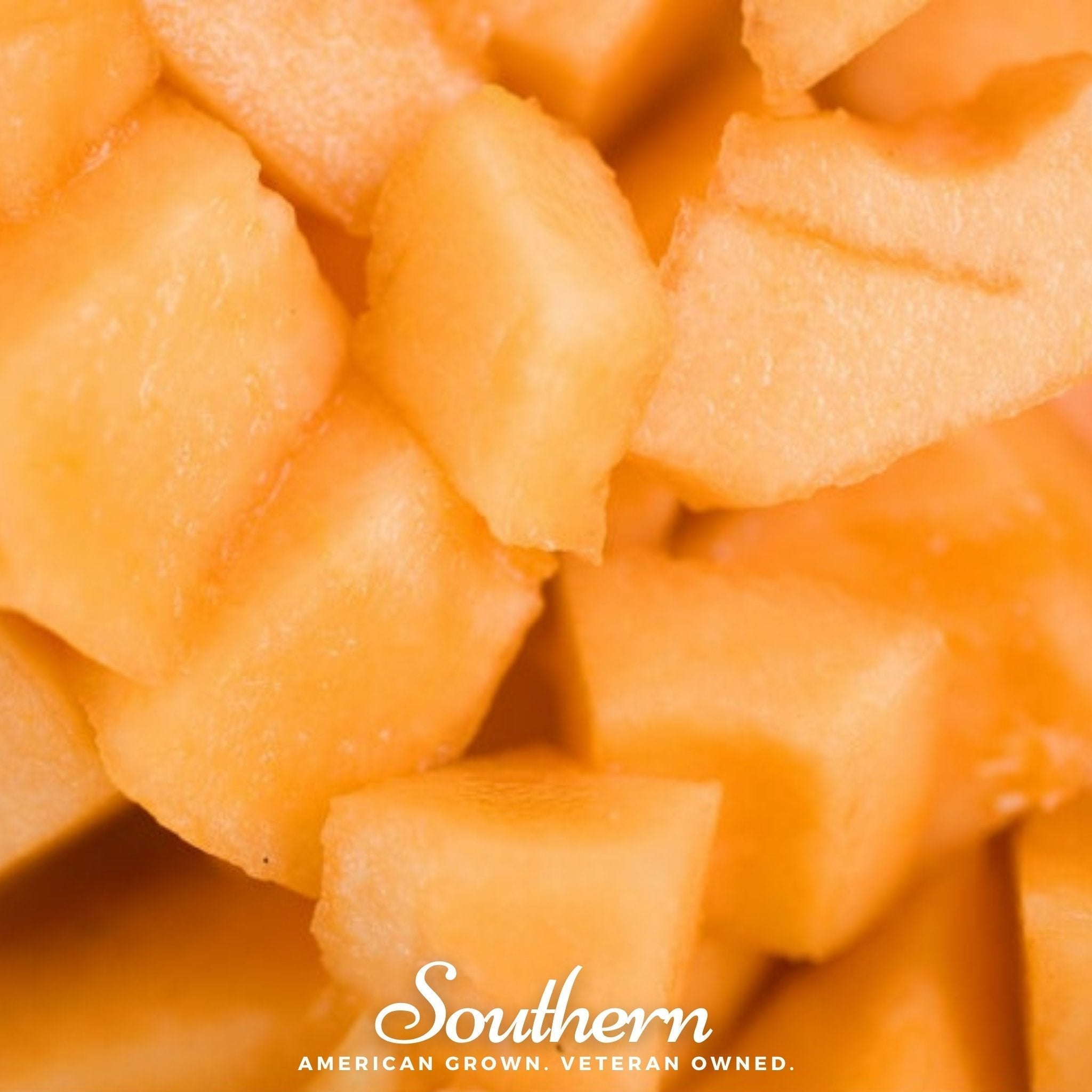Planter’s Jumbo Melon – 50 Seeds Southern Seeds