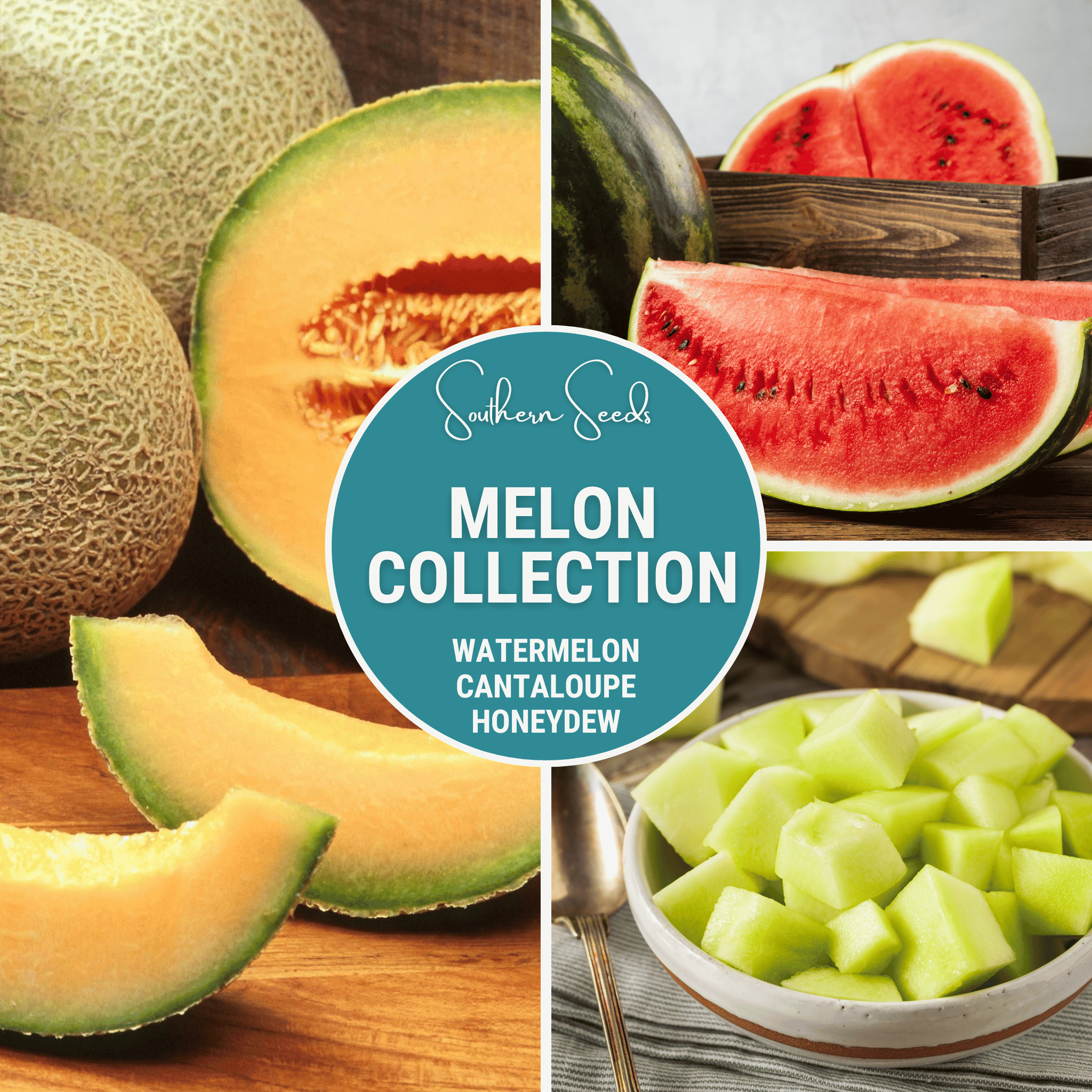 Melon Seed Collection (Watermelon • Cantaloupe • Honeydew) Southern Seeds