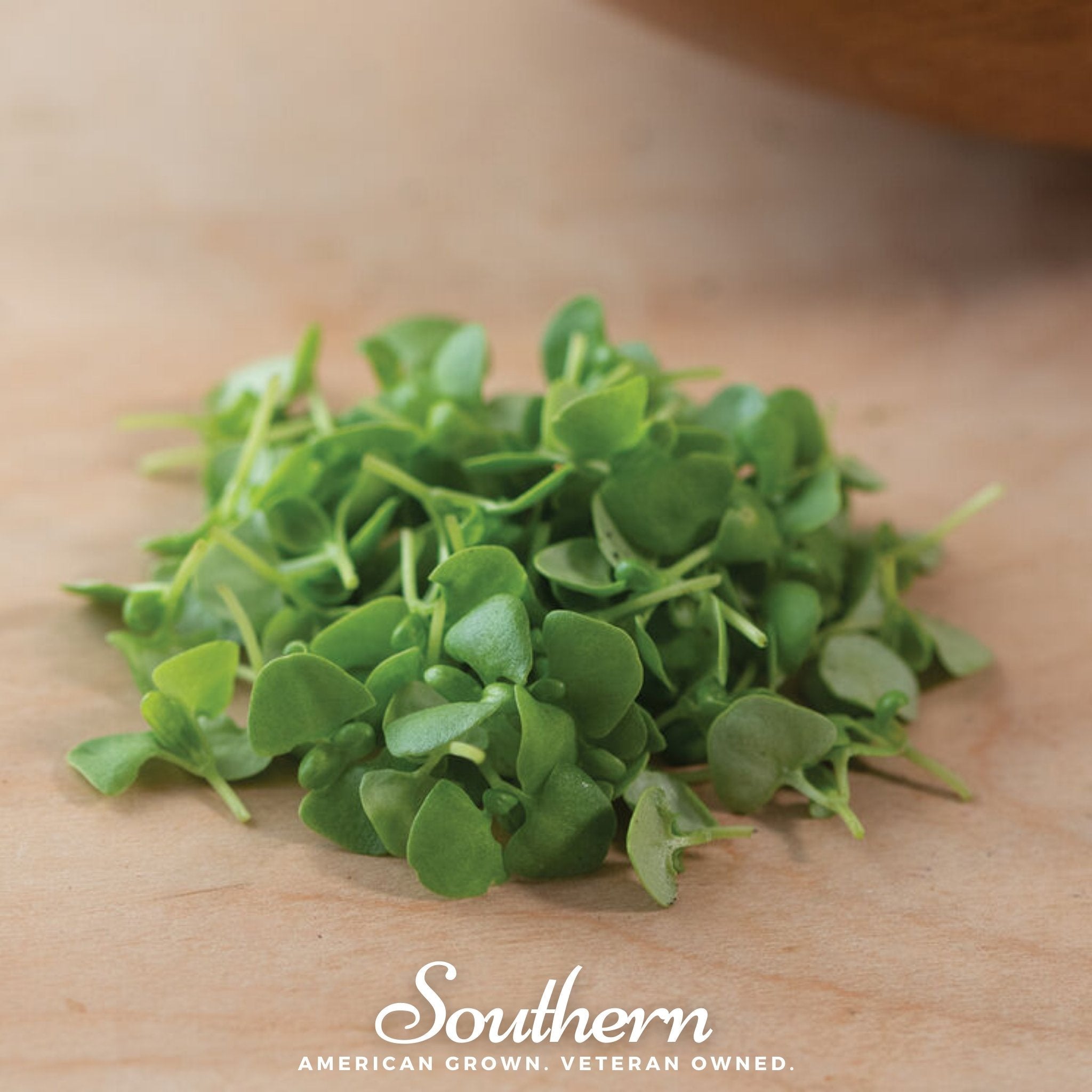 Basil Genovese Microgreen – 8 grams Southern Seeds