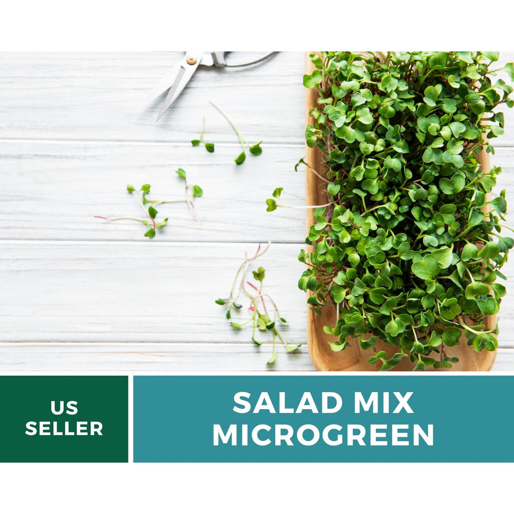Salad Mix Microgreen – 5 Variety Mix – 8 grams Southern Seeds