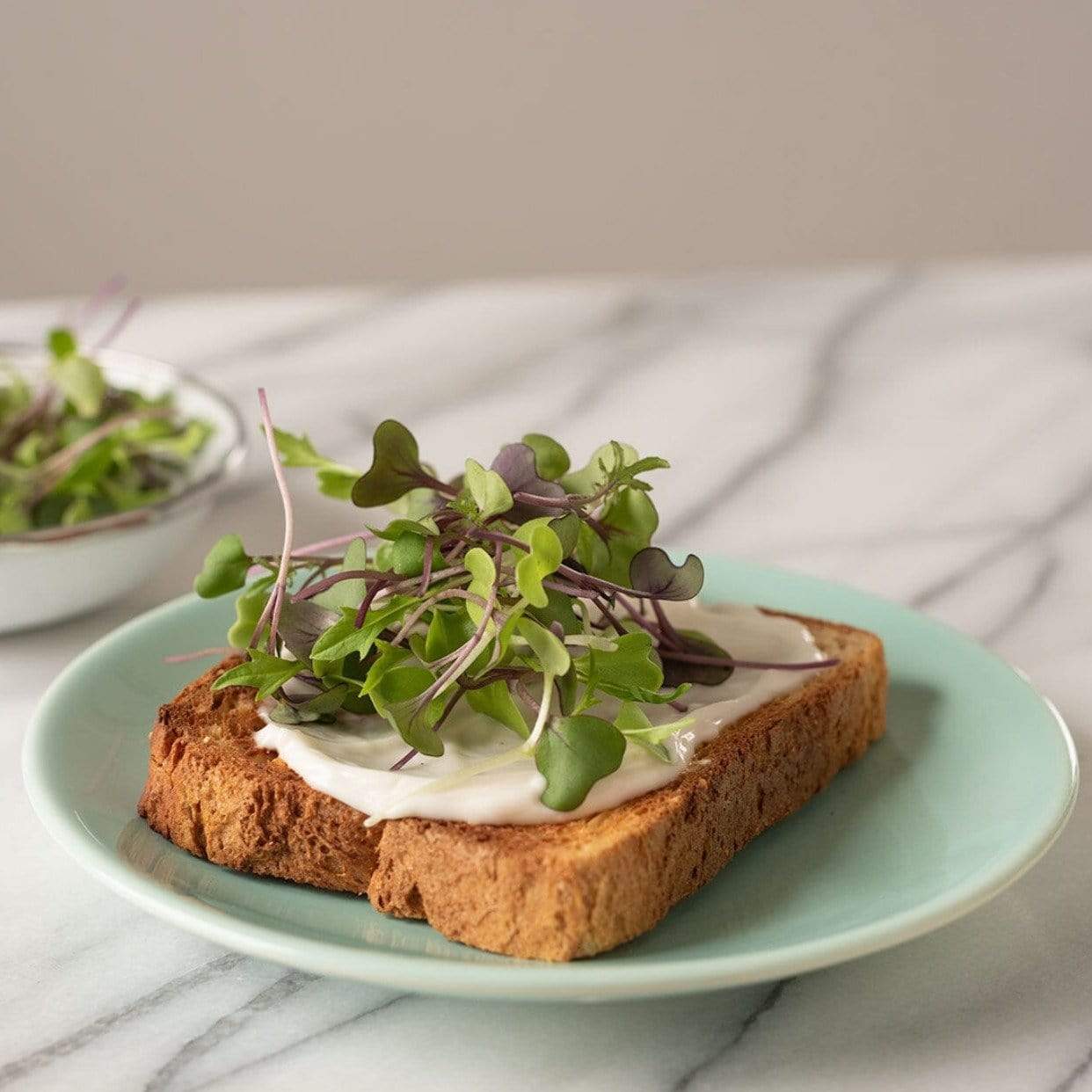 Southern Mild Microgreen Mix – 8 grams Southern Seeds