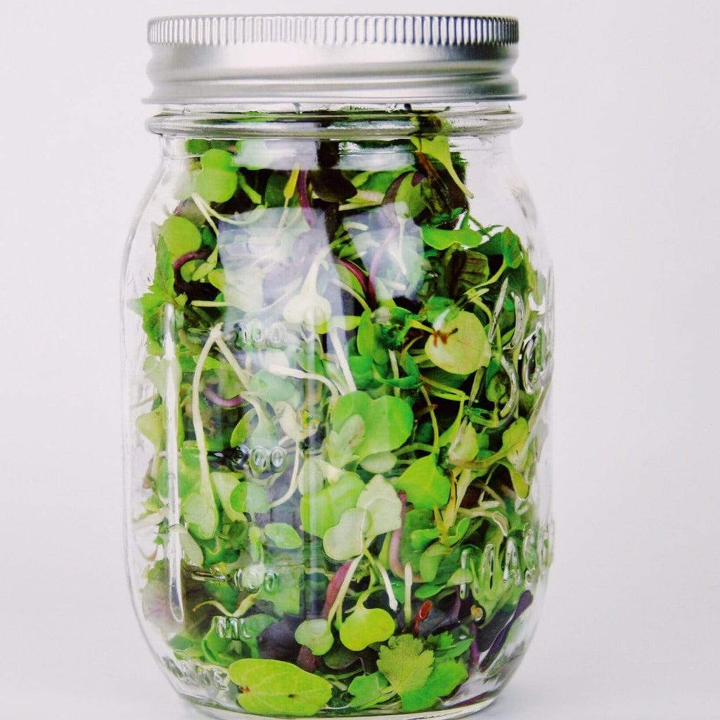 Southern Spice Mix Microgreens – 8 grams Southern Seeds