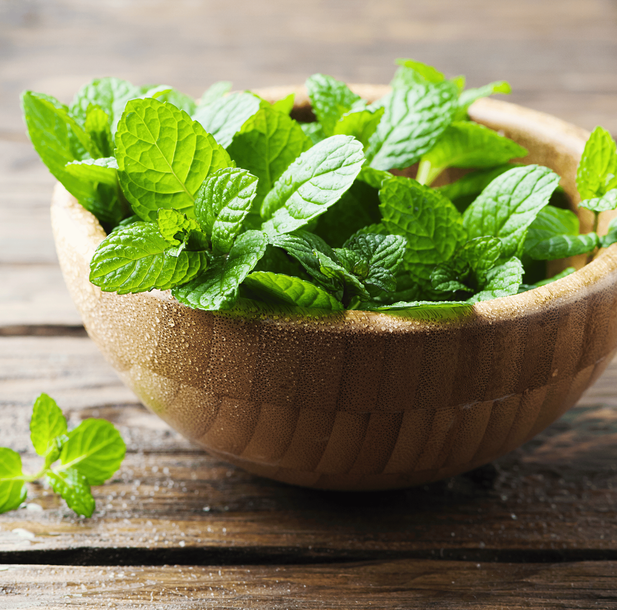 Mint – 100 Seeds Southern Seeds