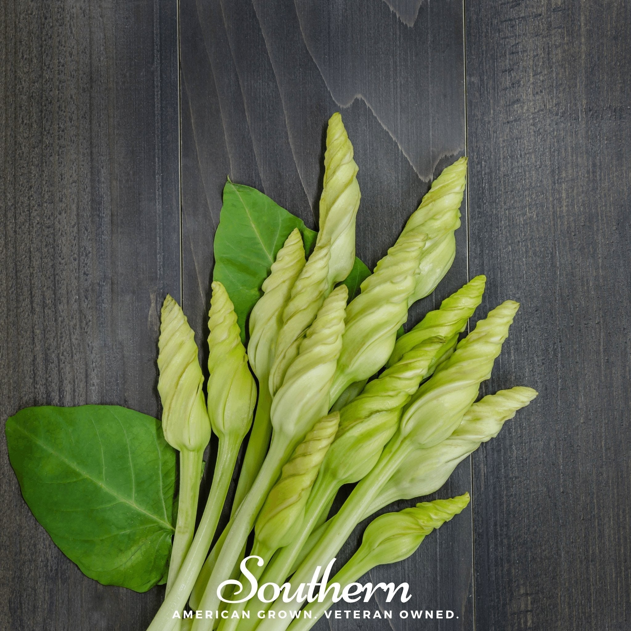 Moonflower – 25 Seeds Southern Seeds