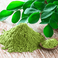 Moringa – 10 Seeds Southern Seeds