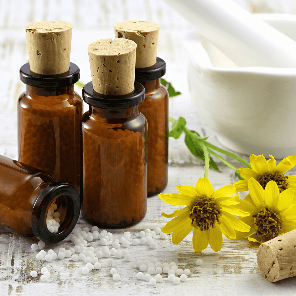 Mountain Arnica – 20 Seeds Southern Seeds