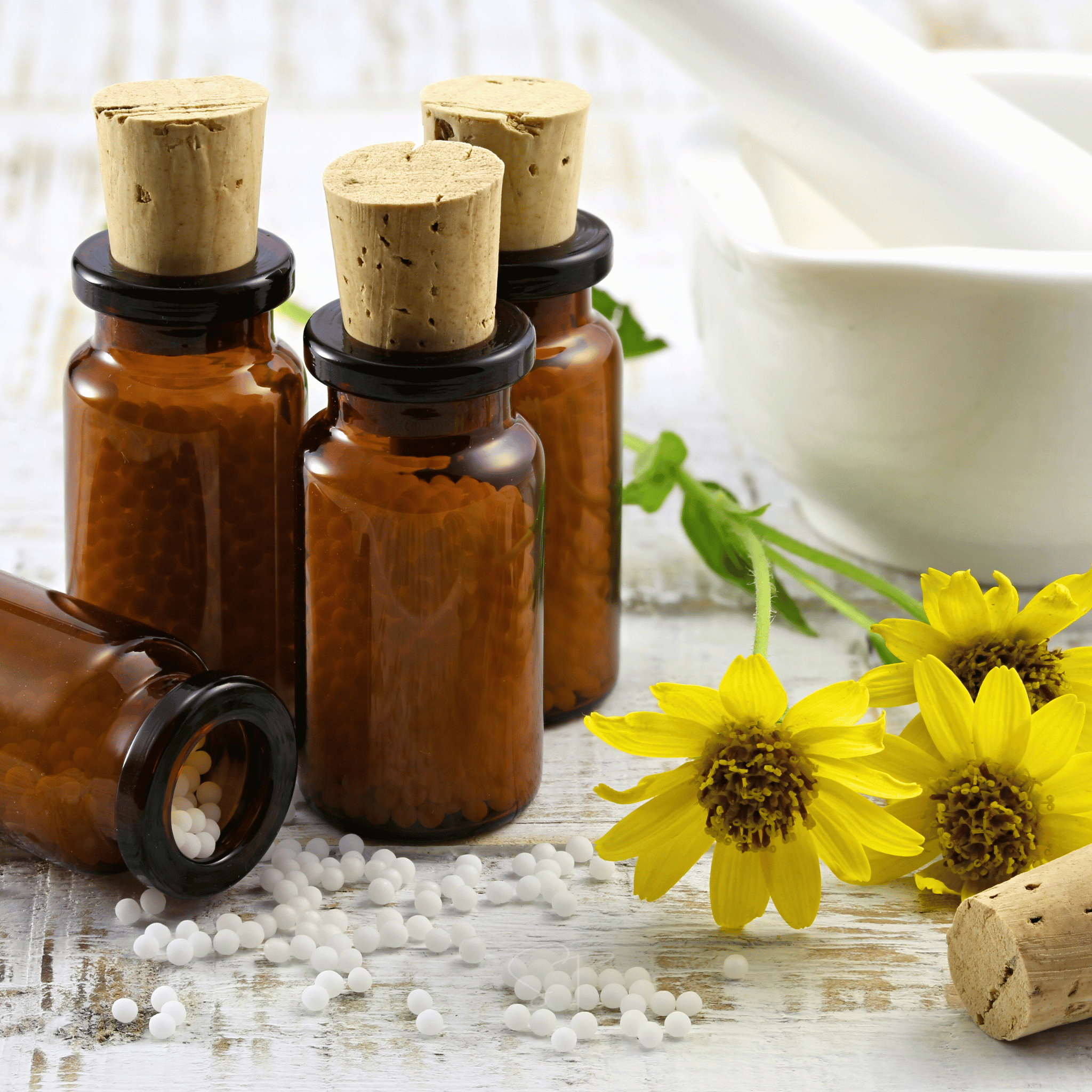Mountain Arnica – 20 Seeds Southern Seeds