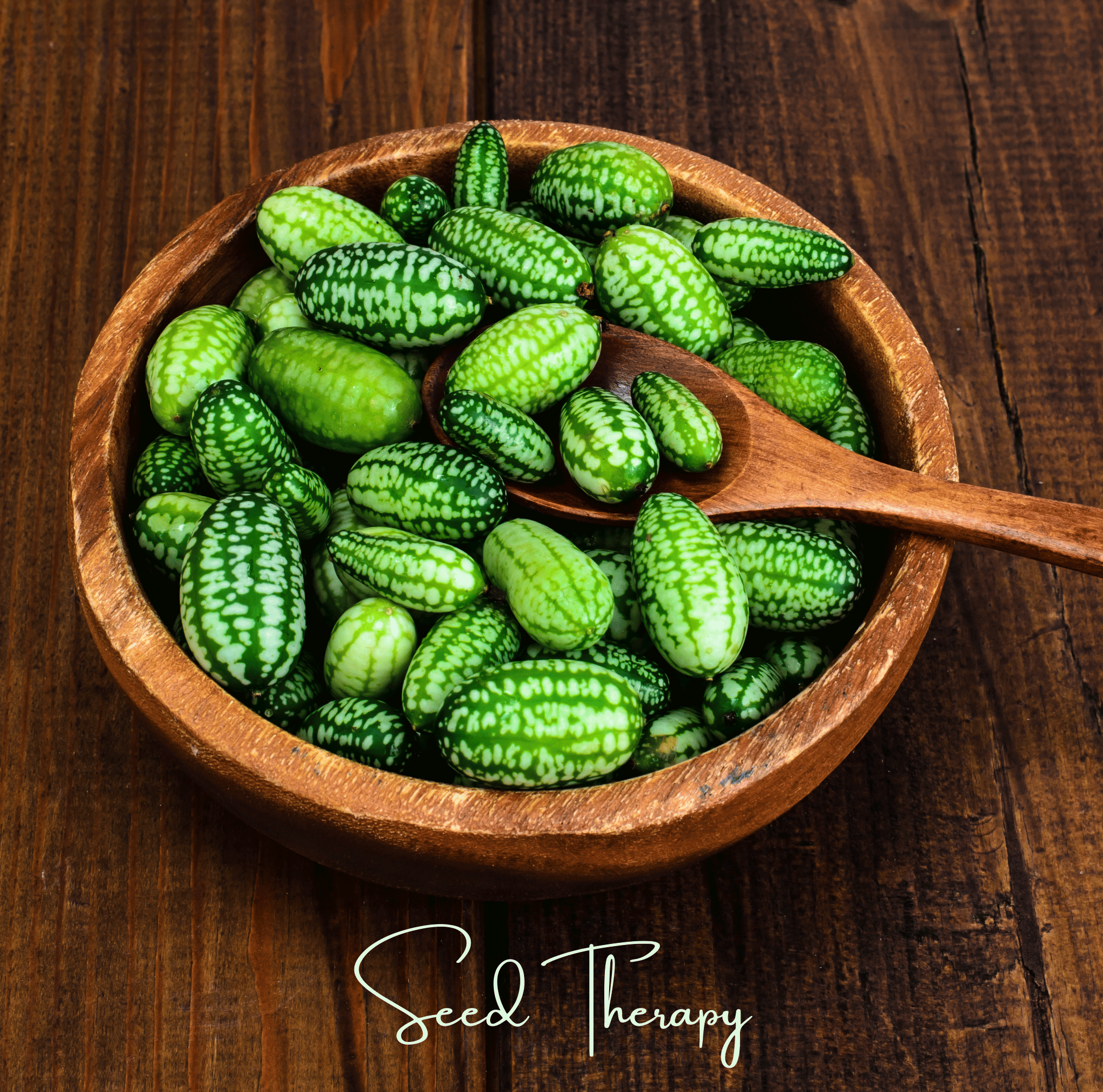 Mouse Melon – 10 Seeds Southern Seeds