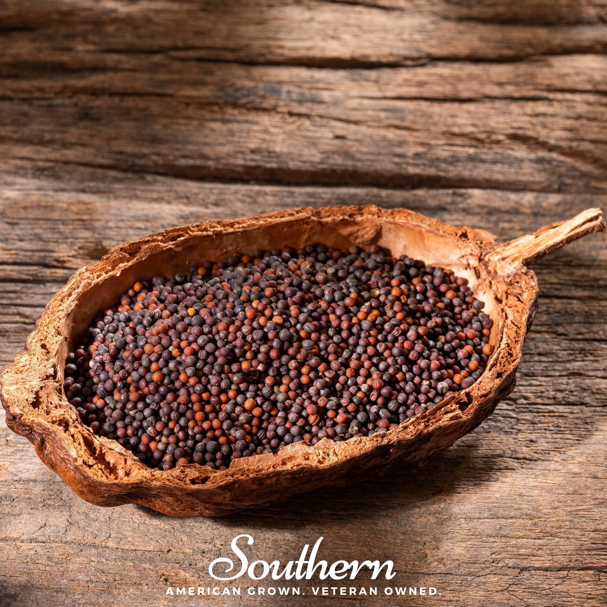 Black Mustard – 500 Seeds Southern Seeds