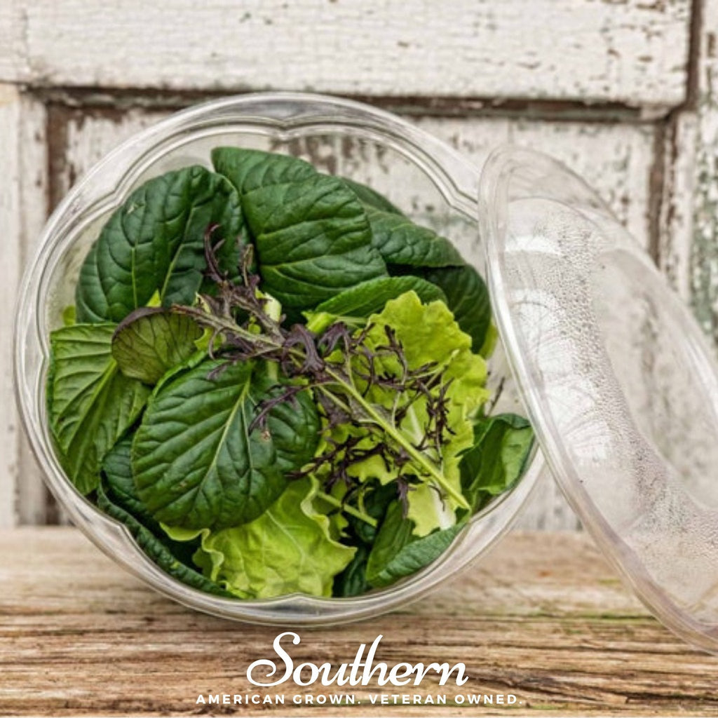 Tatsoi Mustard – 100 Seeds Southern Seeds