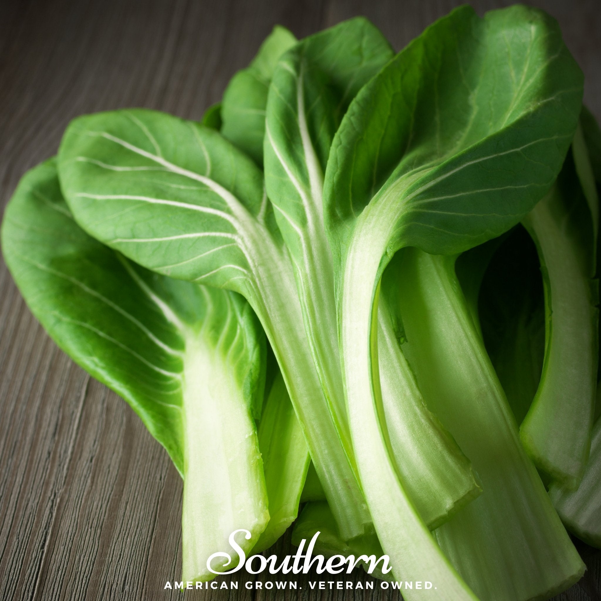 Tatsoi Mustard – 100 Seeds Southern Seeds