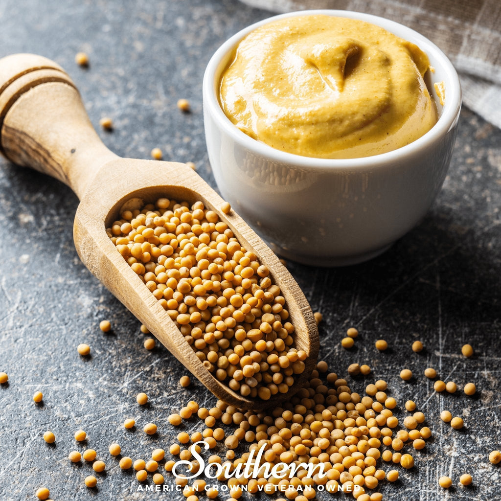 Yellow Mustard – 200 Seeds Southern Seeds