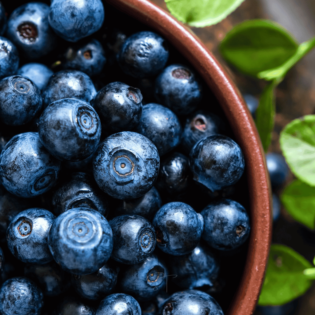 Northern Highbush Blueberry – 50 Seeds Southern Seeds