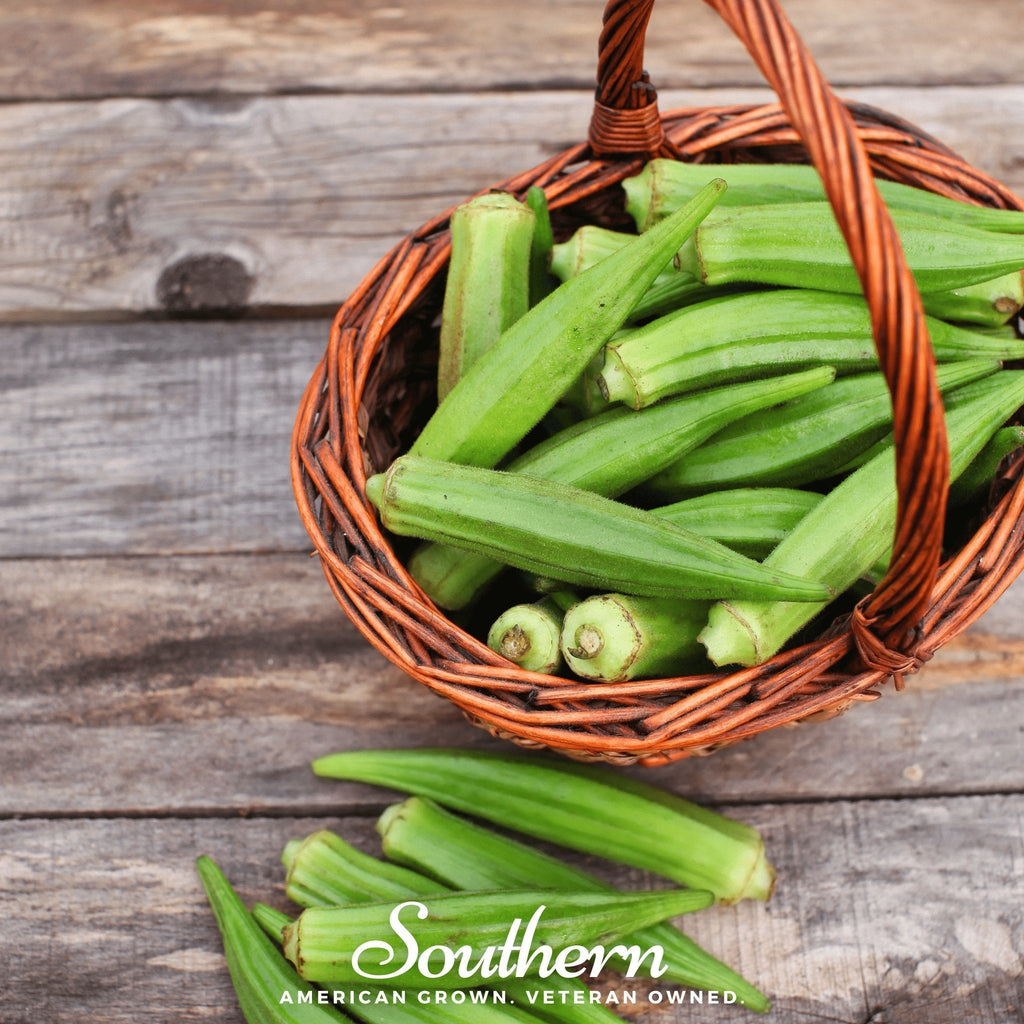 Clemson Spineless Okra – 50 Seeds Southern Seeds