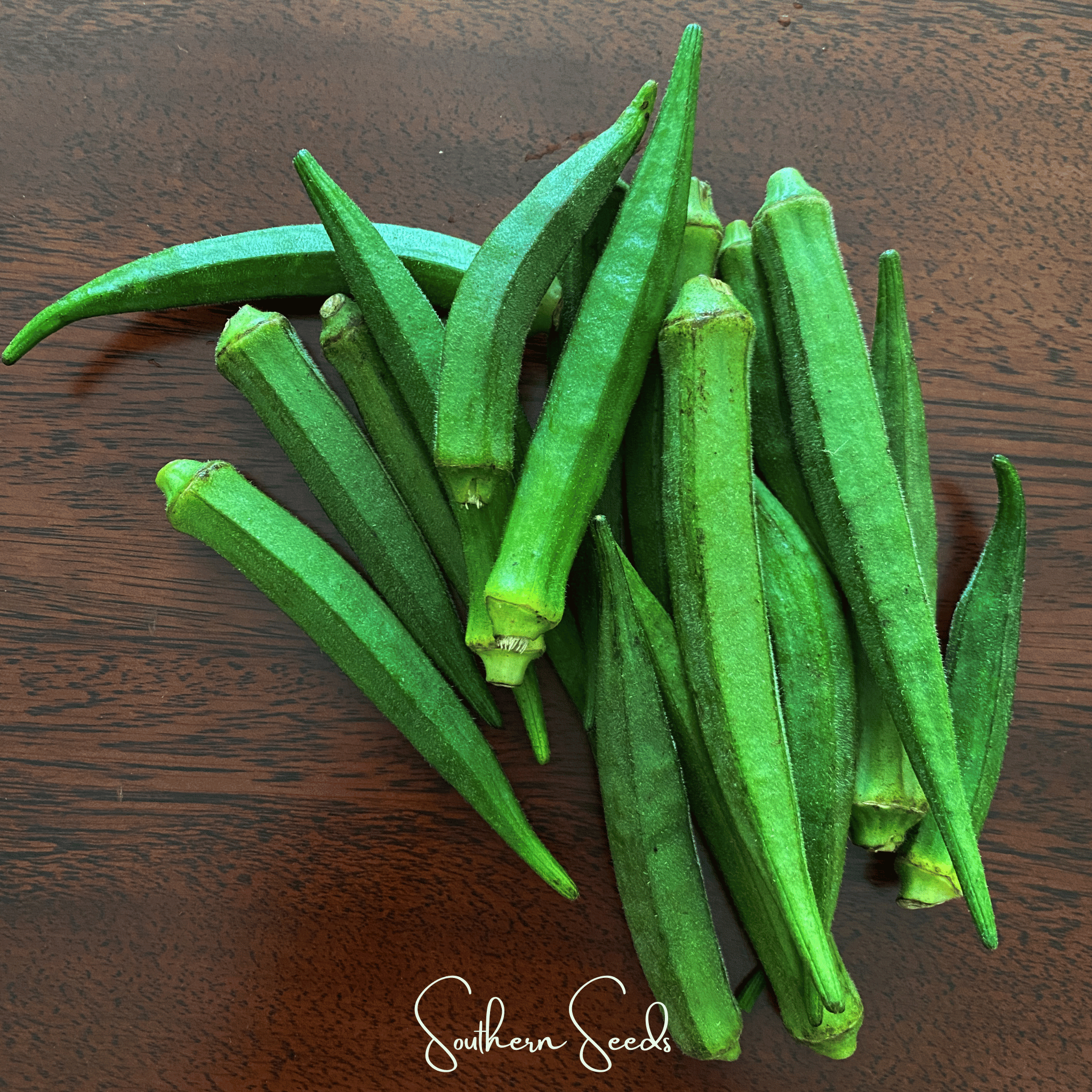 Jambalaya Okra – 50 Seeds Southern Seeds