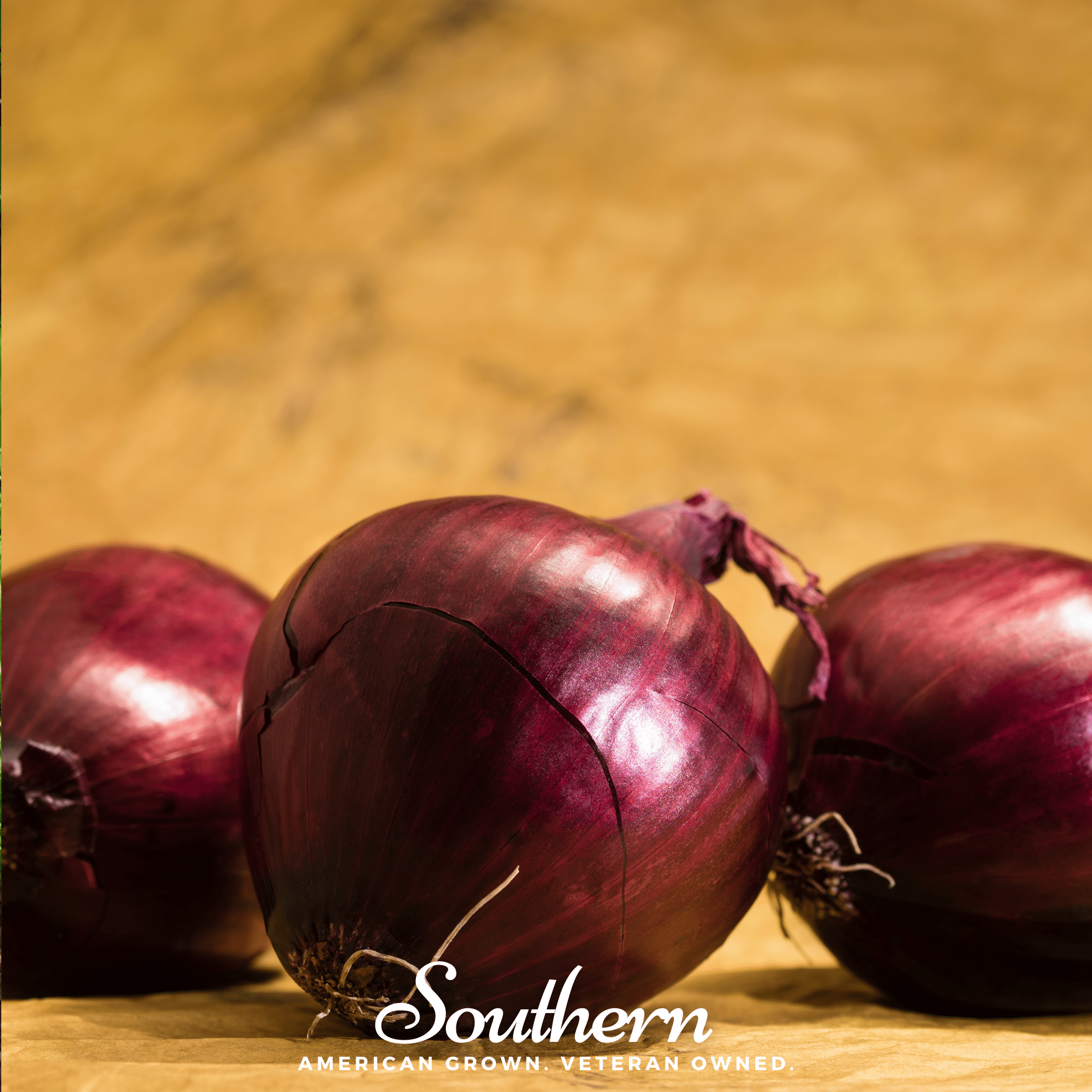 Red Burgundy Onion – 200 Seeds Southern Seeds