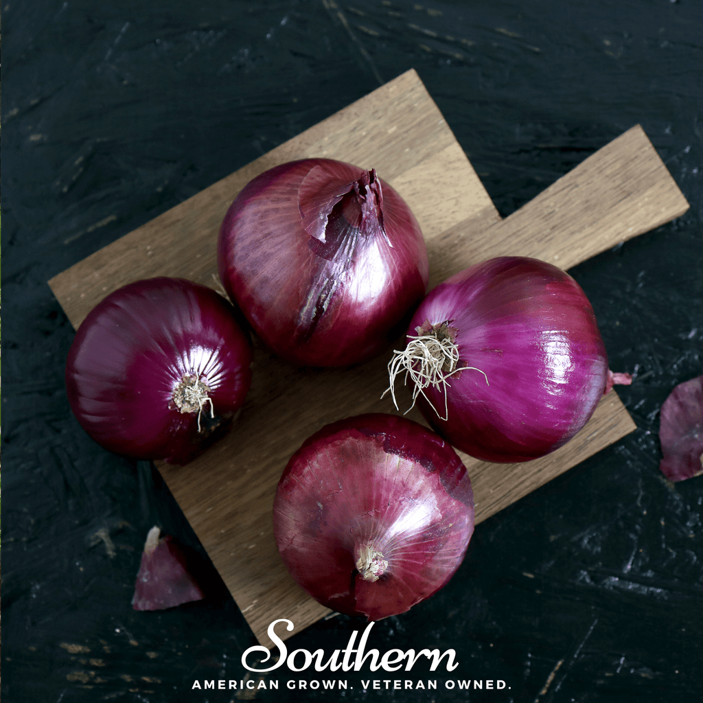 Red Burgundy Onion – 200 Seeds Southern Seeds