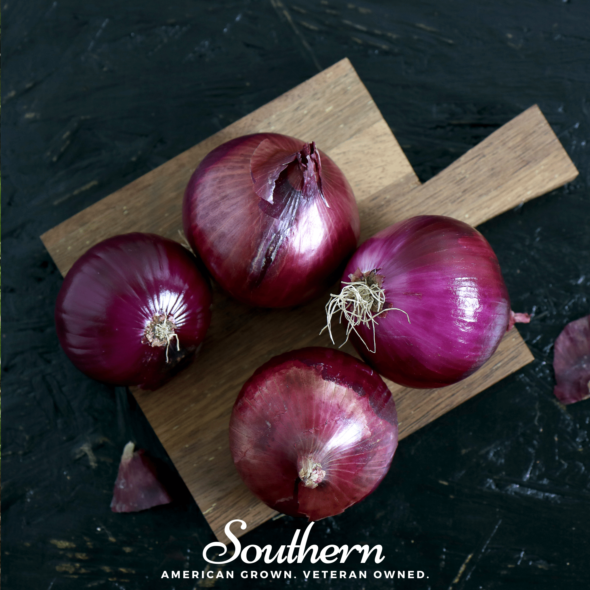 Red Burgundy Onion – 200 Seeds Southern Seeds