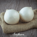 Spanish White Sweet Onion – 200 Seeds Southern Seeds
