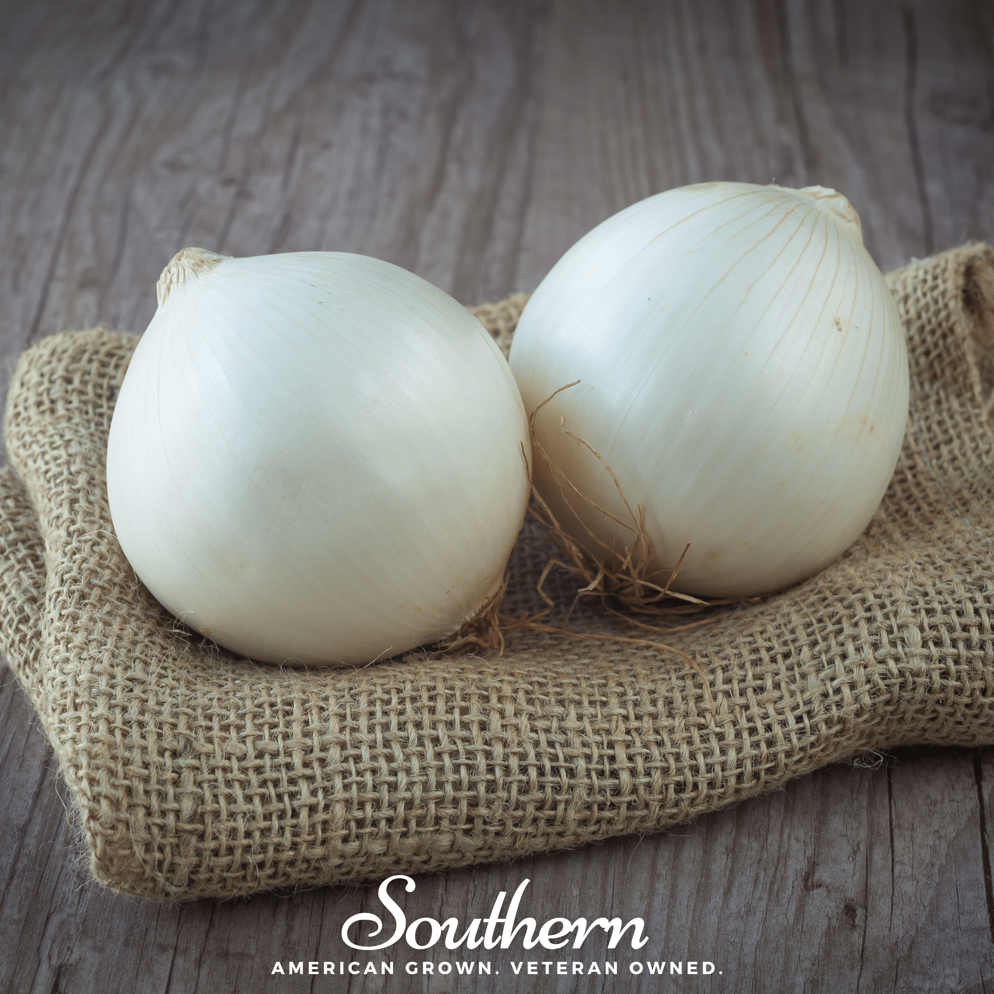 Spanish White Sweet Onion – 200 Seeds Southern Seeds
