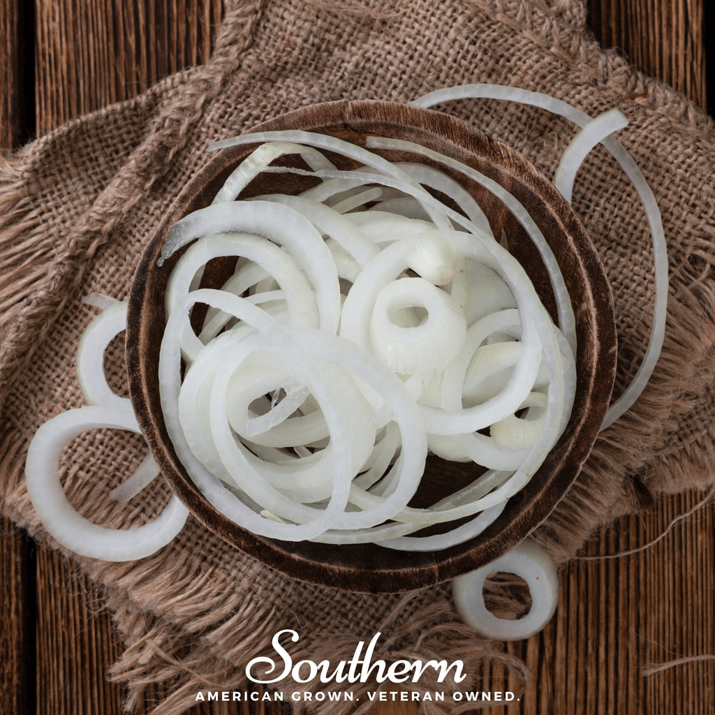 Spanish White Sweet Onion – 200 Seeds Southern Seeds