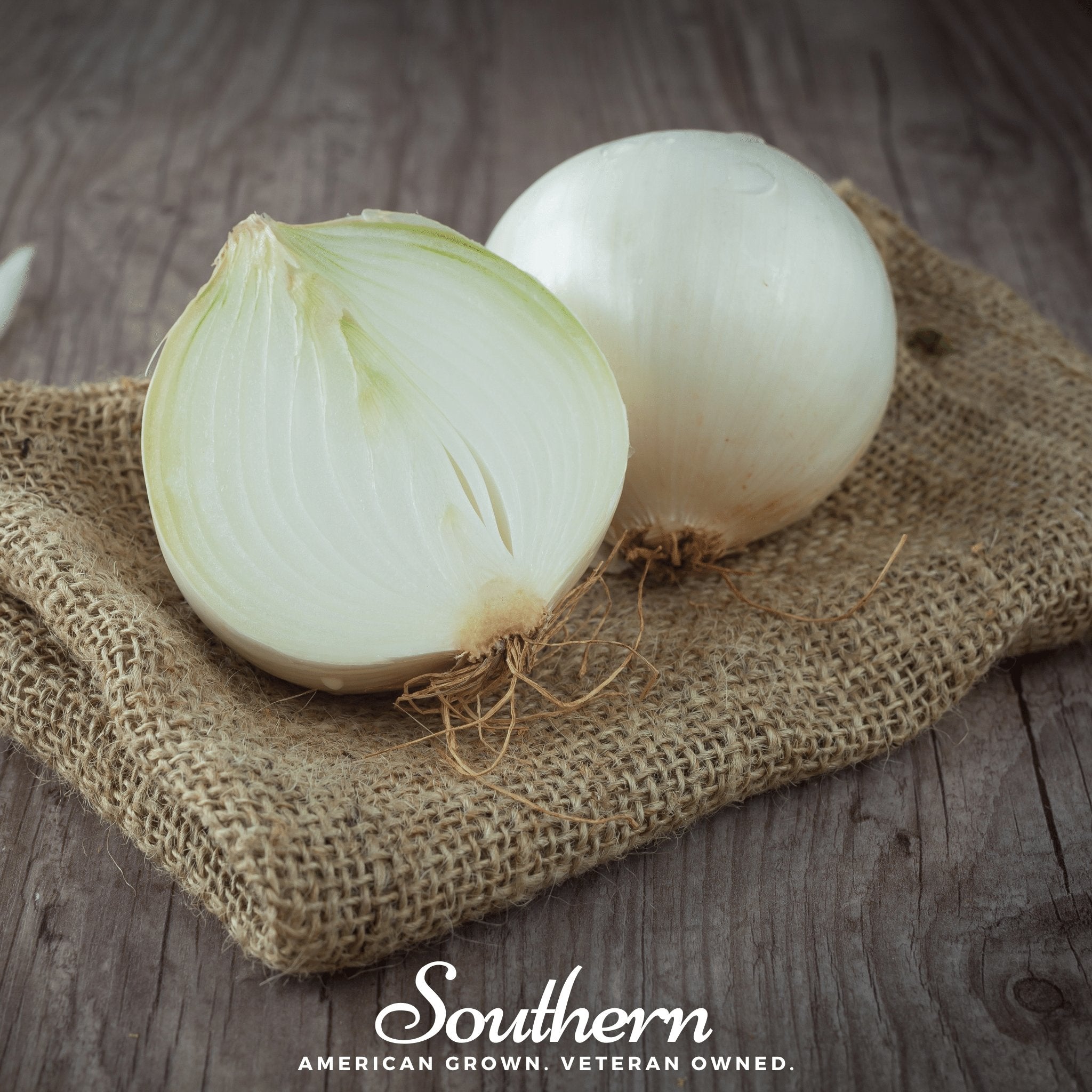 Spanish White Sweet Onion – 200 Seeds Southern Seeds
