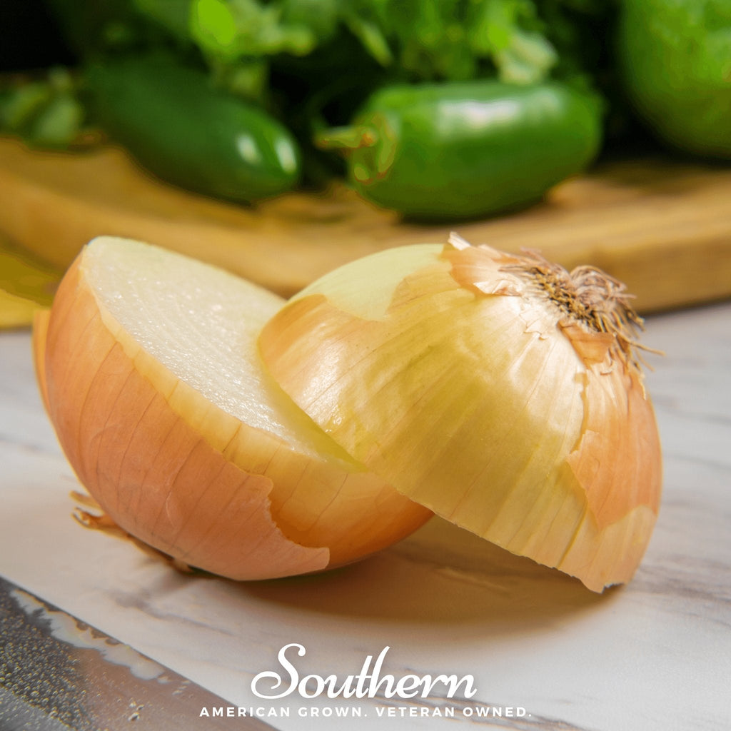 Spanish Yellow Sweet Onion – 200 Seeds Southern Seeds
