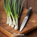 Tokyo Long White Onion – 200 Seeds Southern Seeds