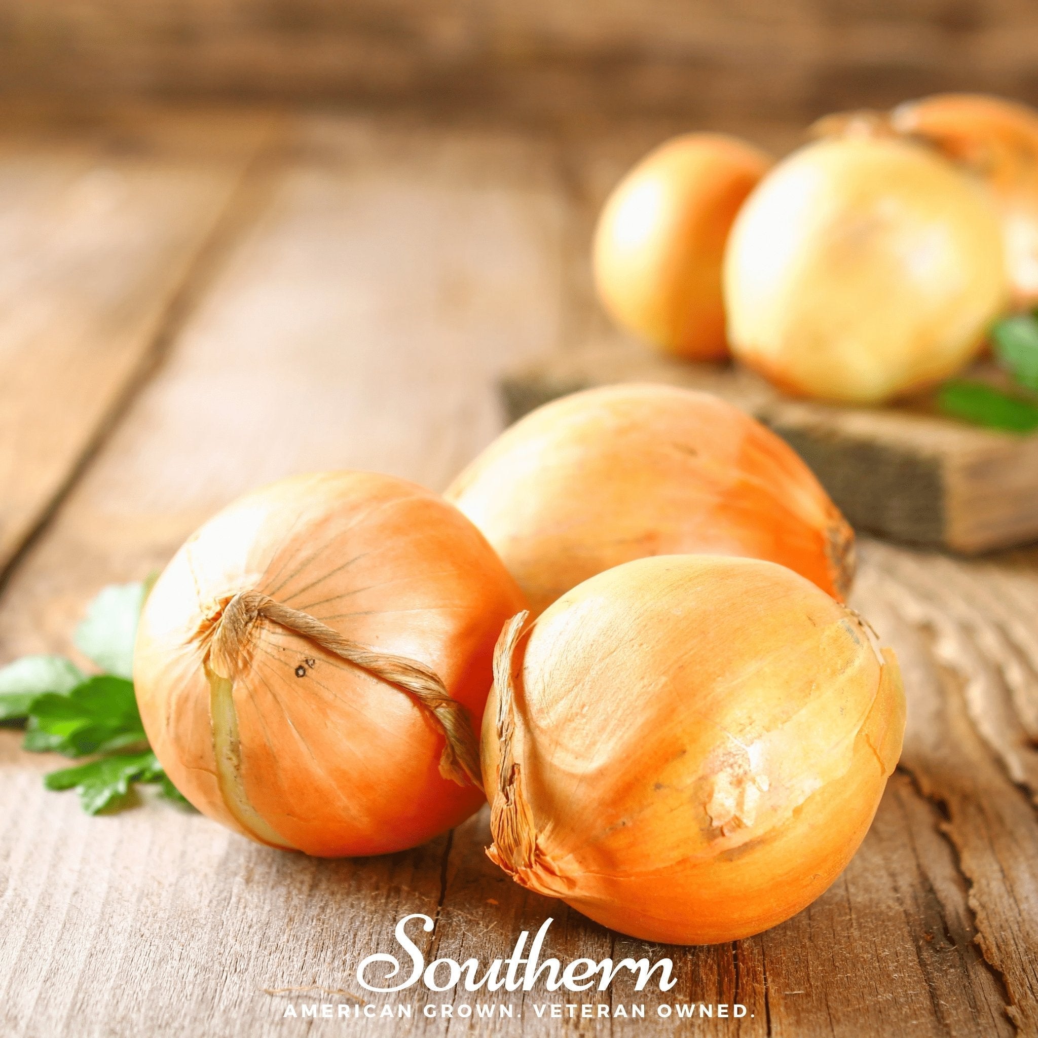 Utah Yellow Sweet Spanish Onion – 200 Seeds Southern Seeds