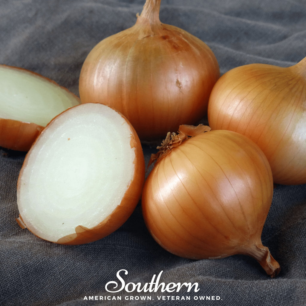 Walla Walla Onion – 200 Seeds Southern Seeds