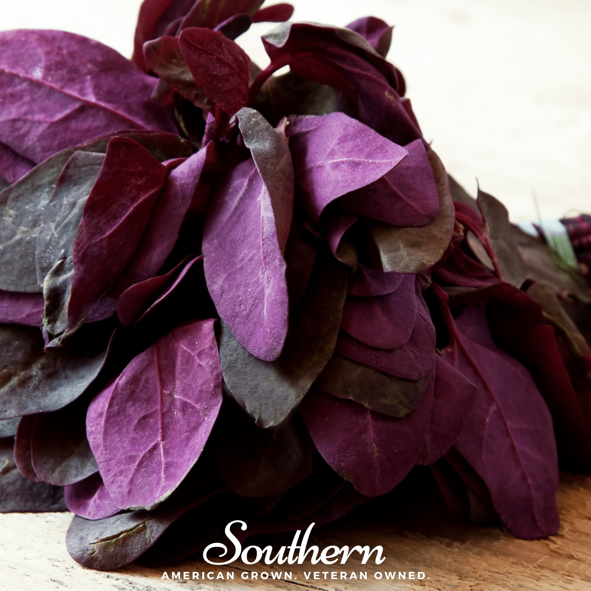 Red Plume Orach – 25 Seeds Southern Seeds