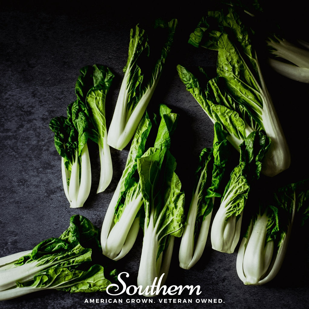 Canton Pak Choi – 100 Seeds Southern Seeds