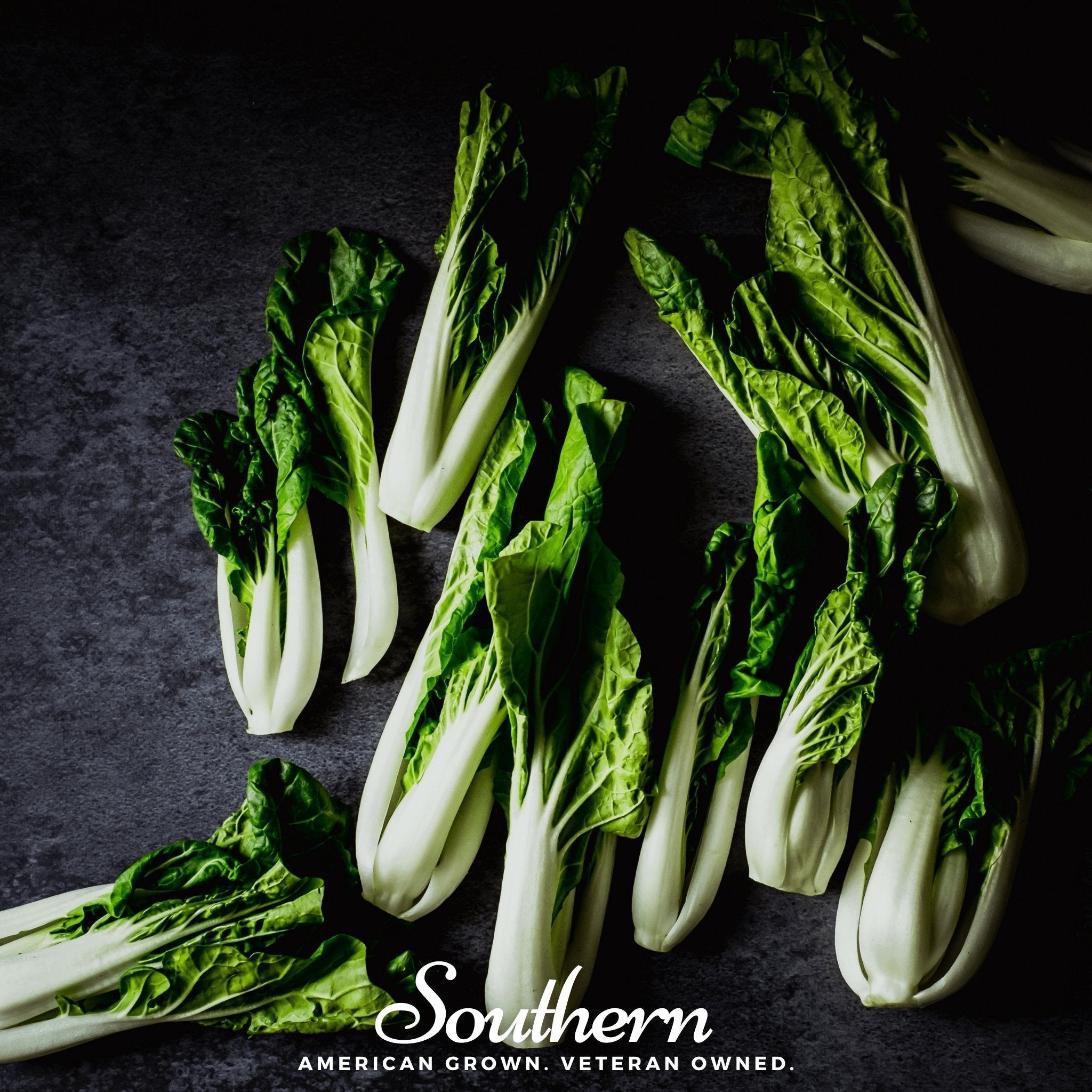 Canton Pak Choi – 100 Seeds Southern Seeds
