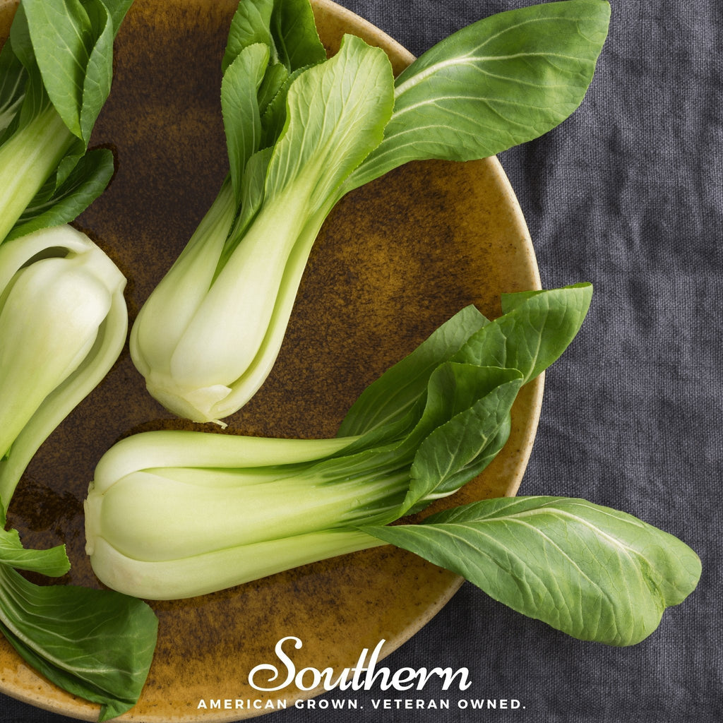 Canton Pak Choi – 100 Seeds Southern Seeds
