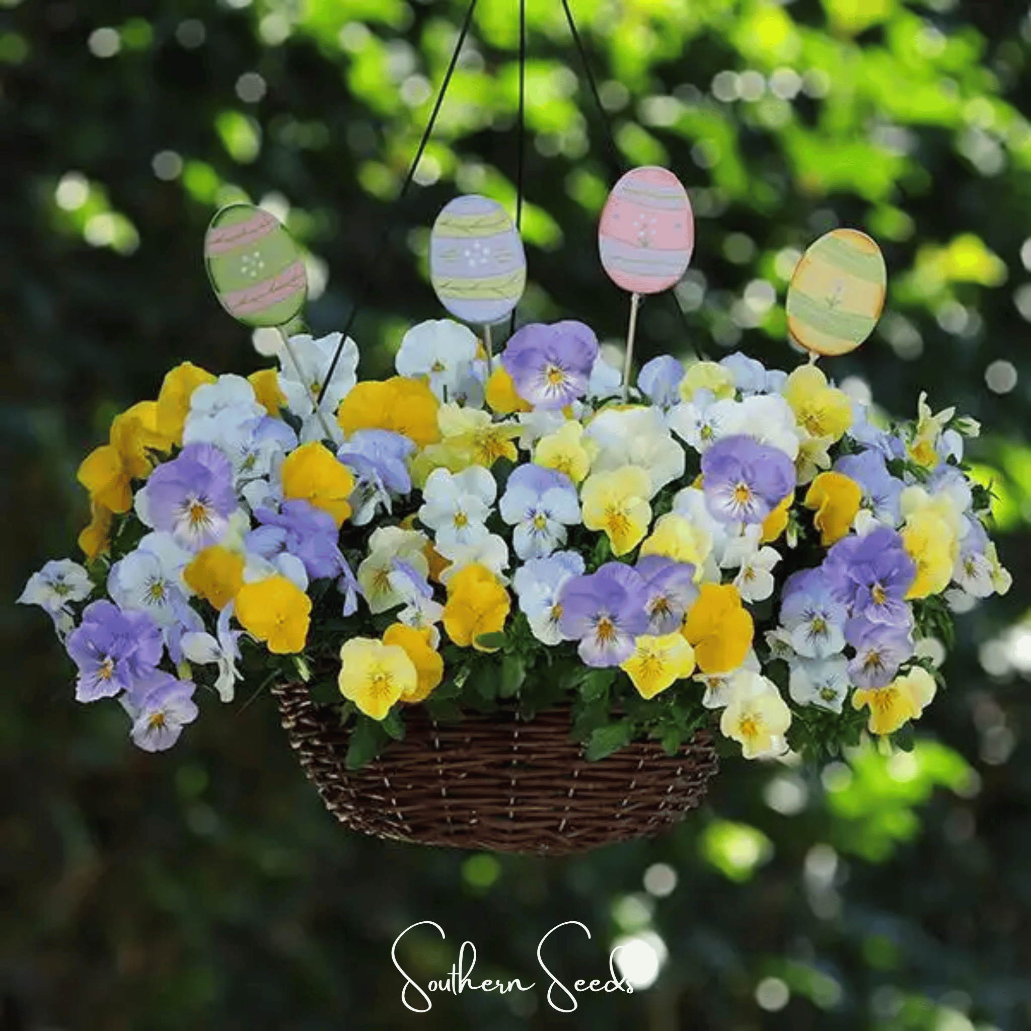 Pastel Pansy Mix – 100 Seeds Southern Seeds