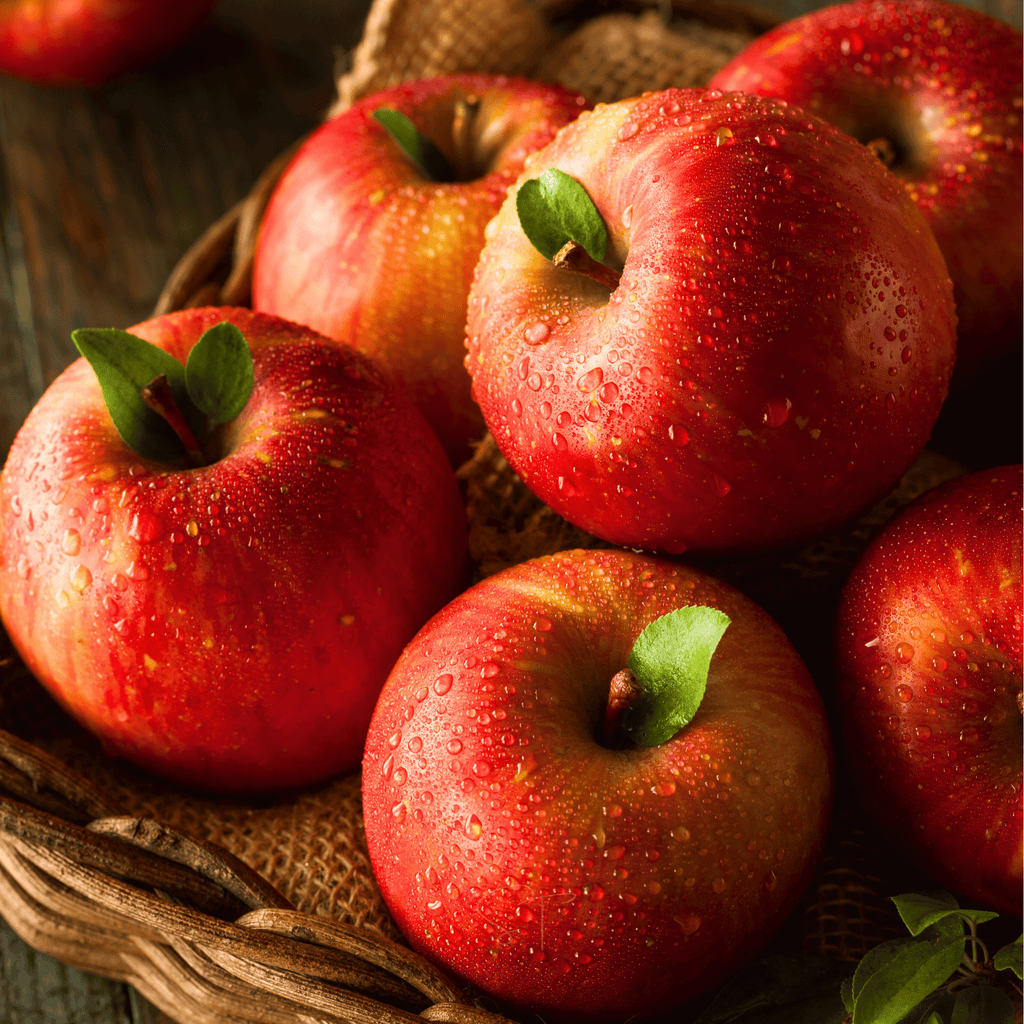 Paradise Apple Tree – 25 Seeds Southern Seeds