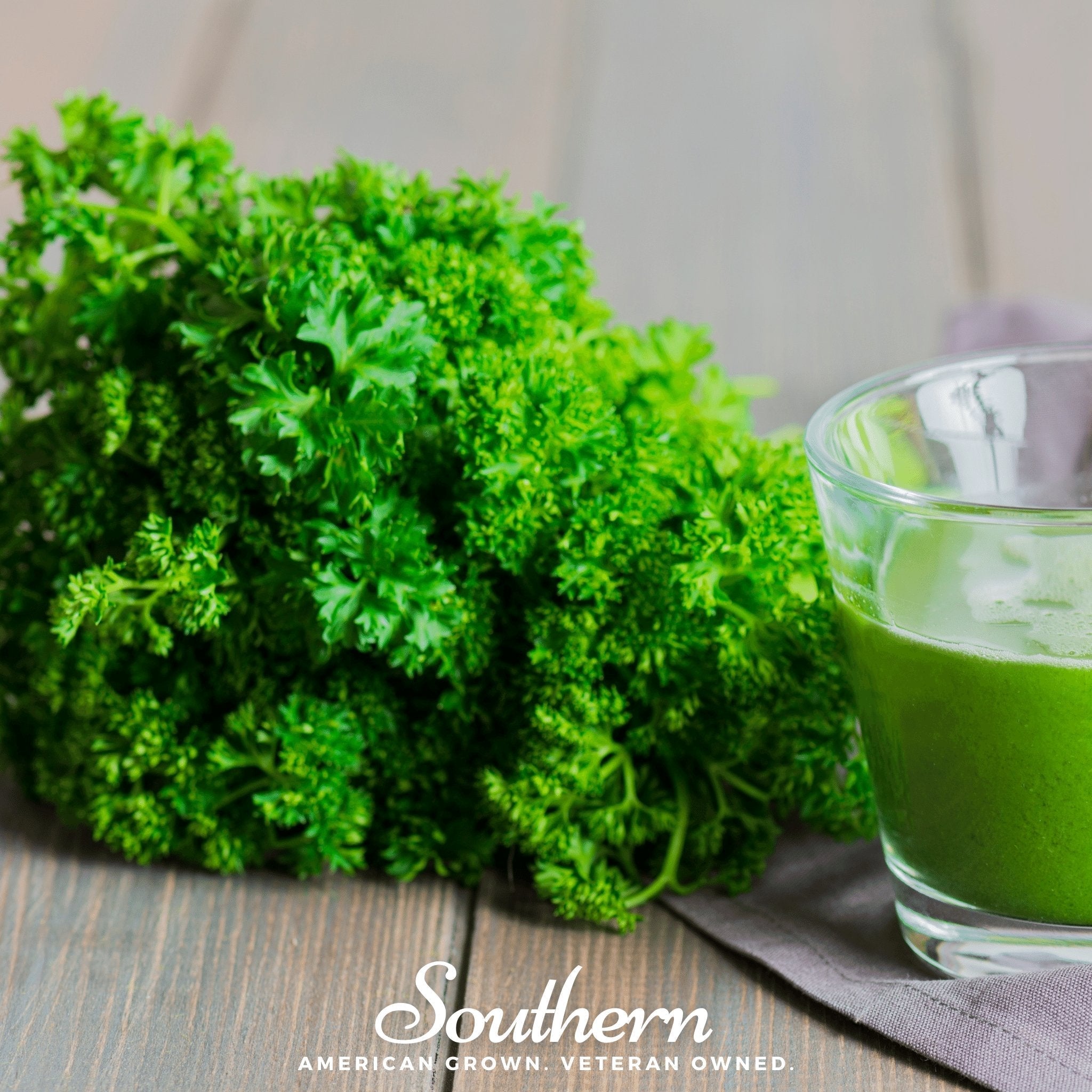 Evergreen Parsley – 200 Seeds Southern Seeds