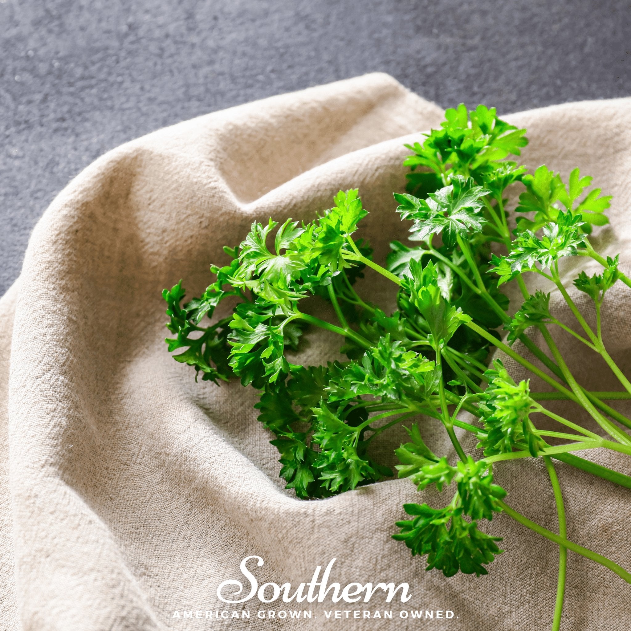 Triple Curled Parsley – 200 Seeds Southern Seeds