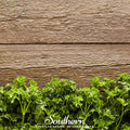 Triple Curled Parsley – 200 Seeds Southern Seeds
