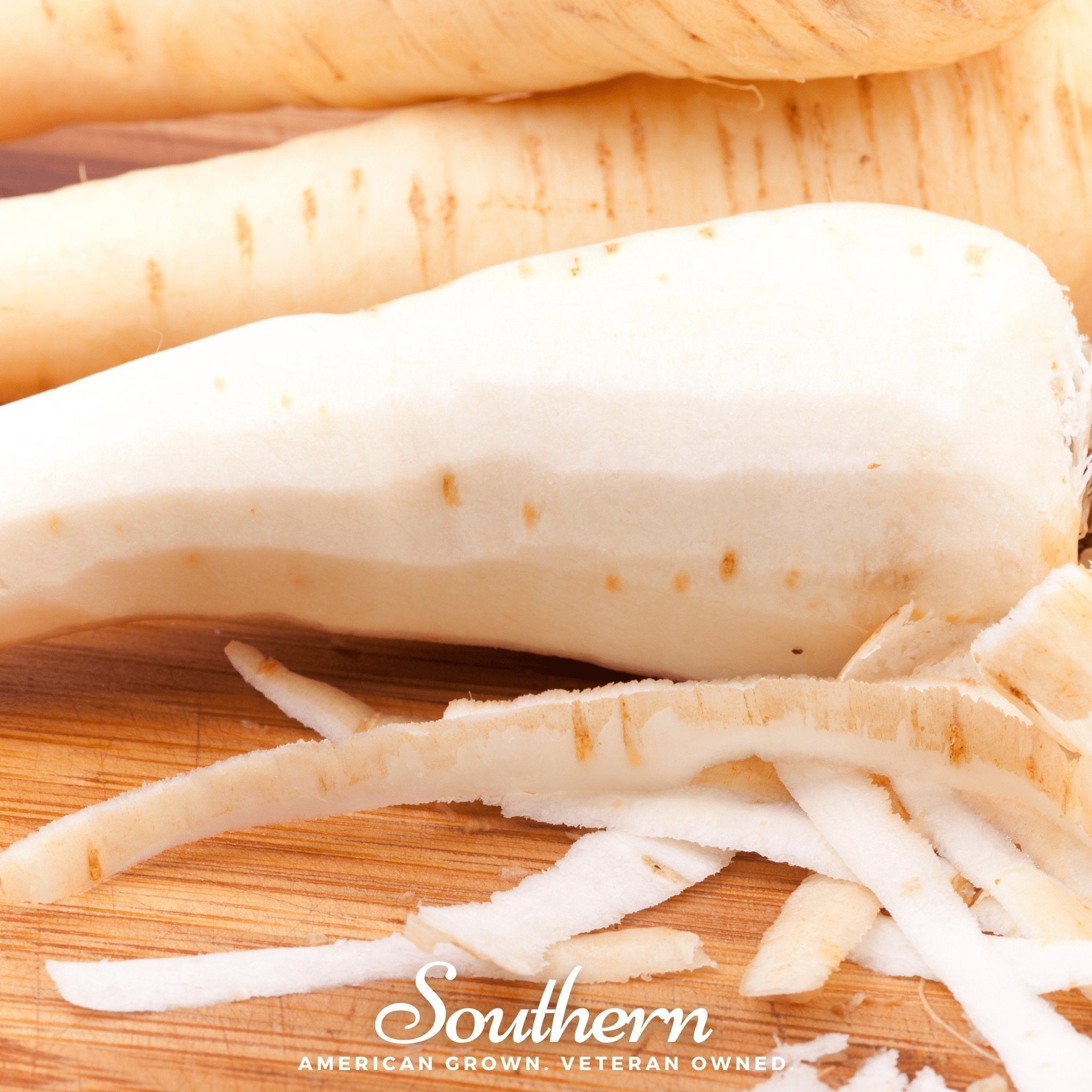 Harris Model Parsnip – 100 Seeds Southern Seeds