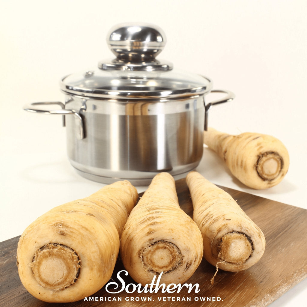 Harris Model Parsnip – 100 Seeds Southern Seeds
