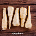 Harris Model Parsnip – 100 Seeds Southern Seeds