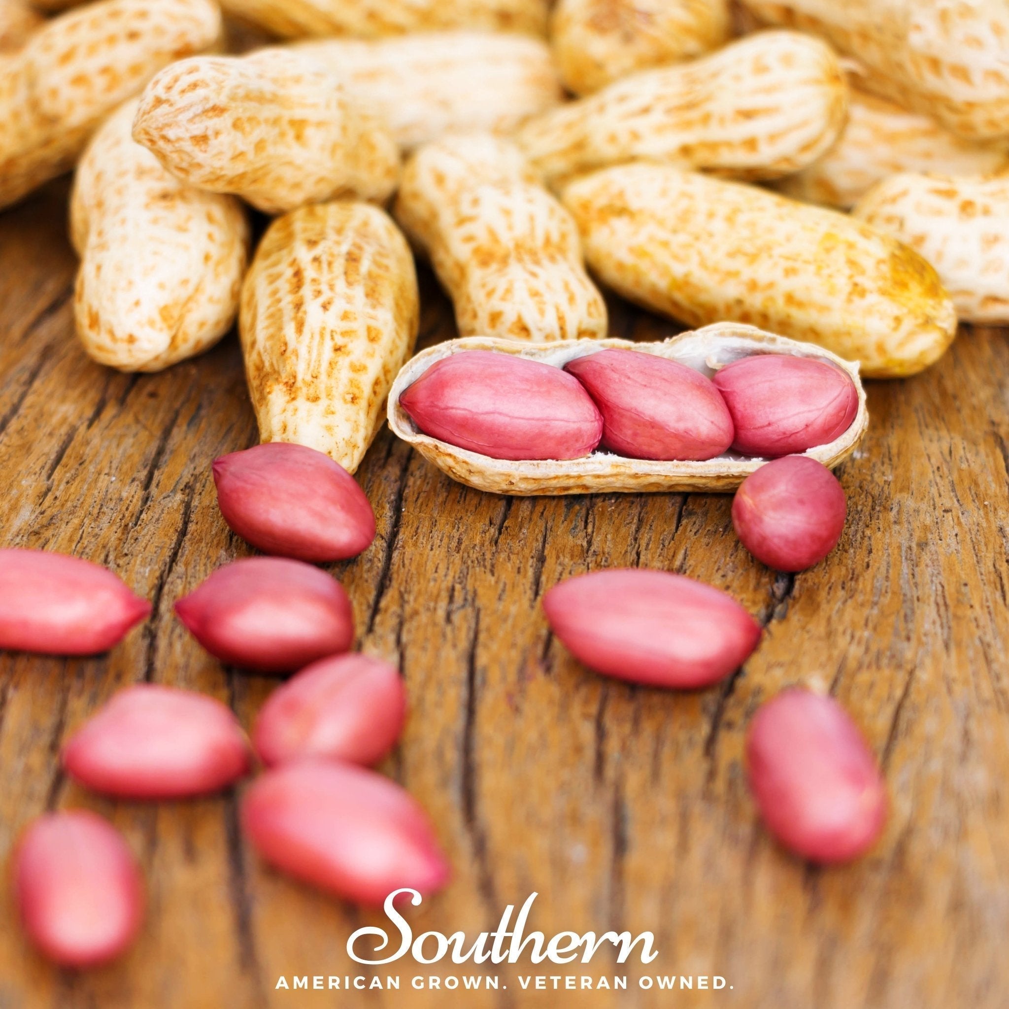 Tennessee Red Peanuts – 10 Seeds Southern Seeds