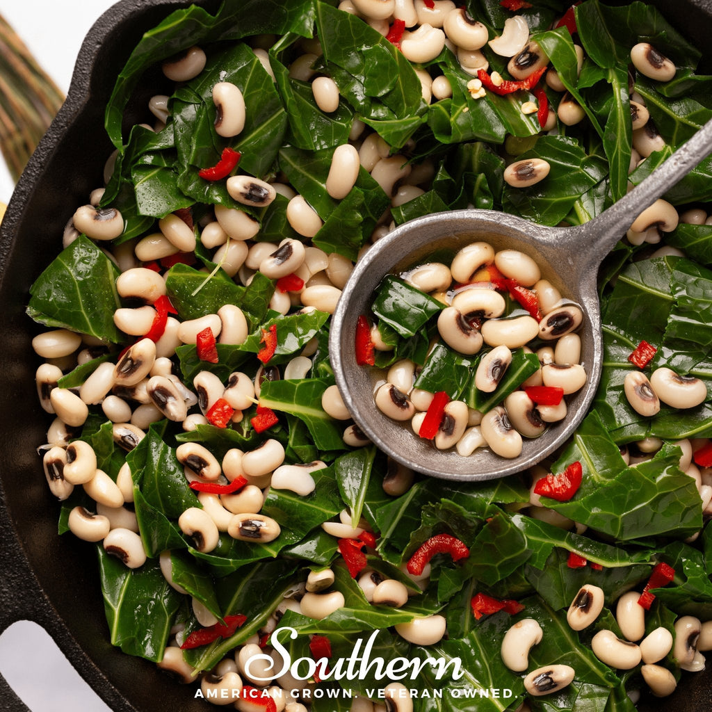 California Blackeye Peas – 20 Seeds Southern Seeds