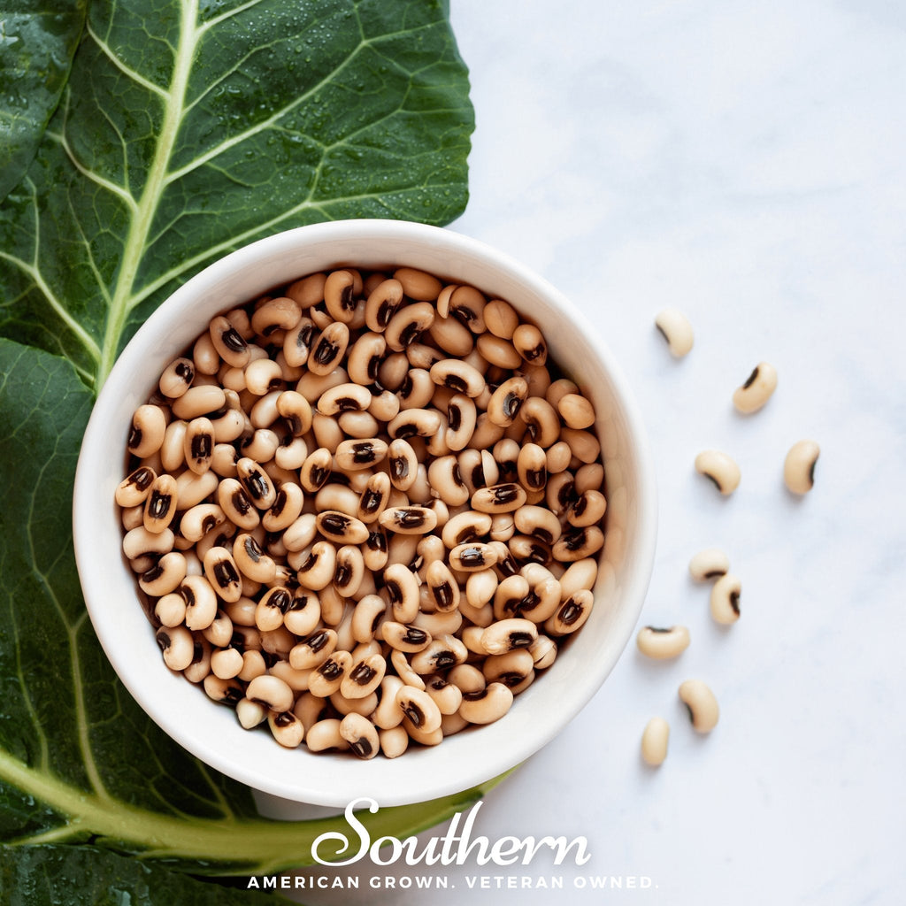 California Blackeye Peas – 20 Seeds Southern Seeds