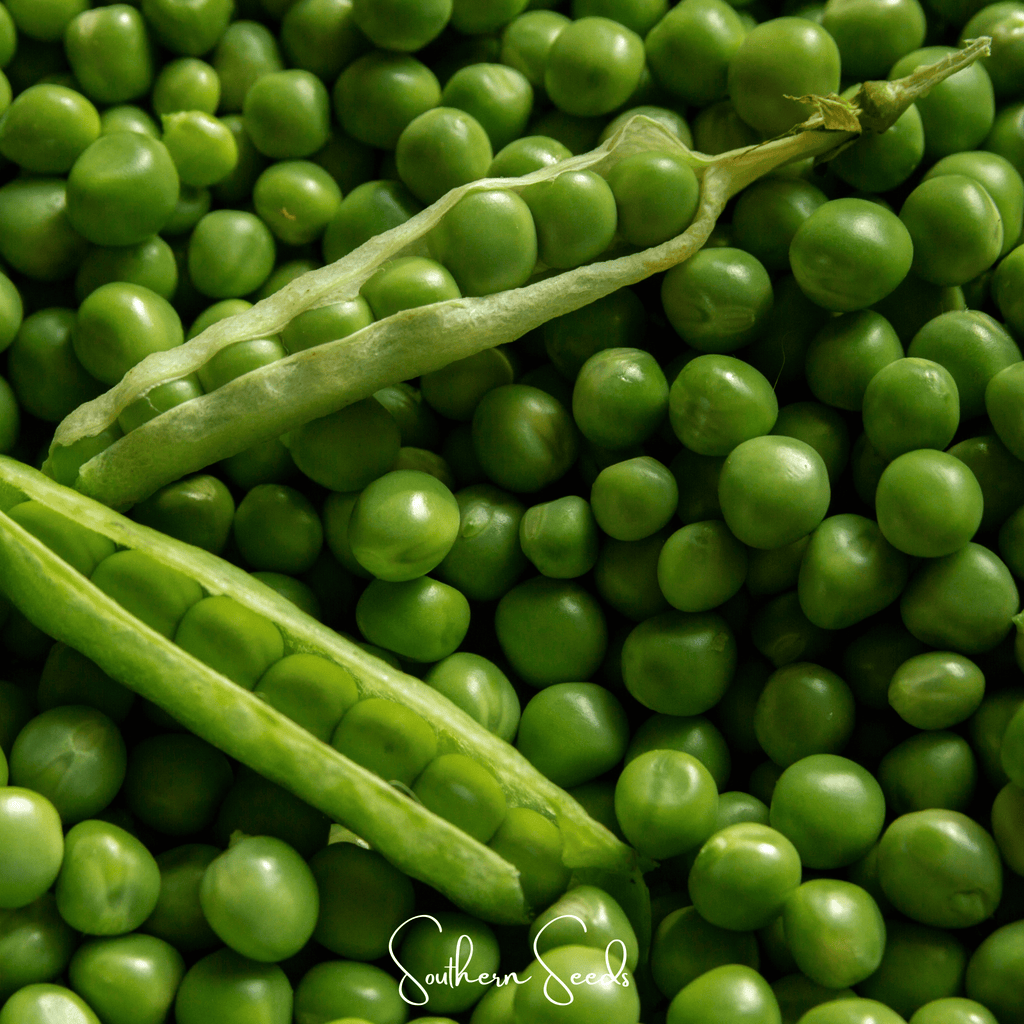 Early Frosty Peas – 25 Seeds Southern Seeds