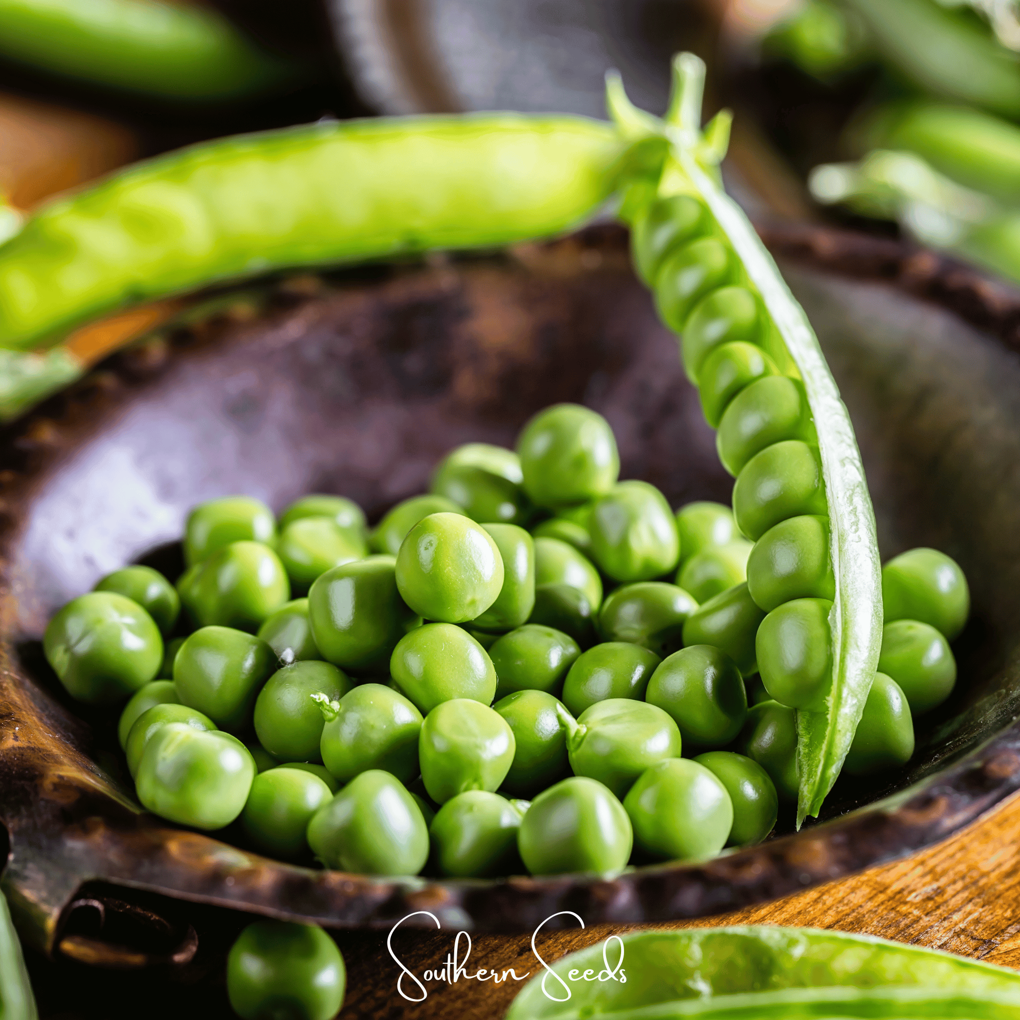 Early Frosty Peas – 25 Seeds Southern Seeds